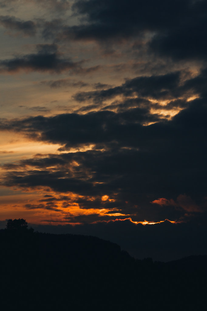 IMG-5773.jpg
